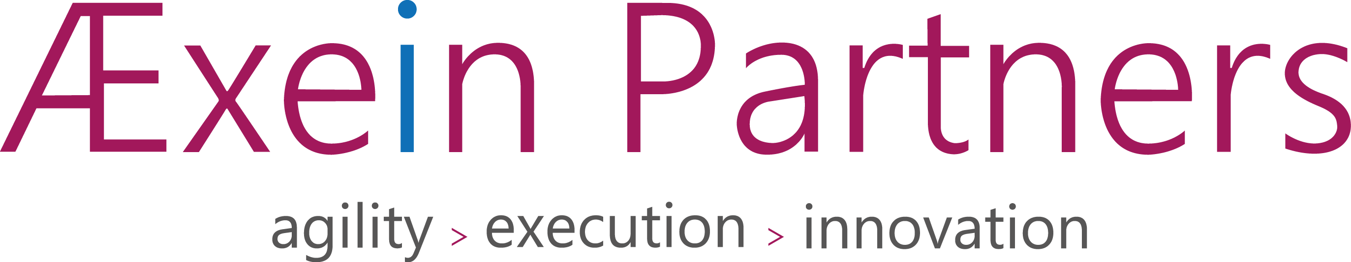 aexein partners logo_PNG